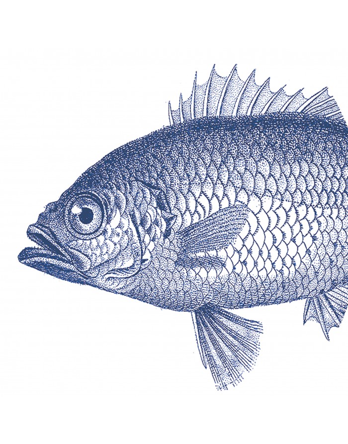 20 Servilletas de papel lunch Fish Marine