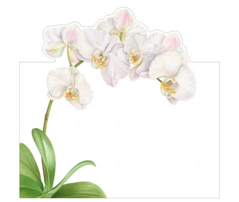 8 marcadores de mesa White Orchid