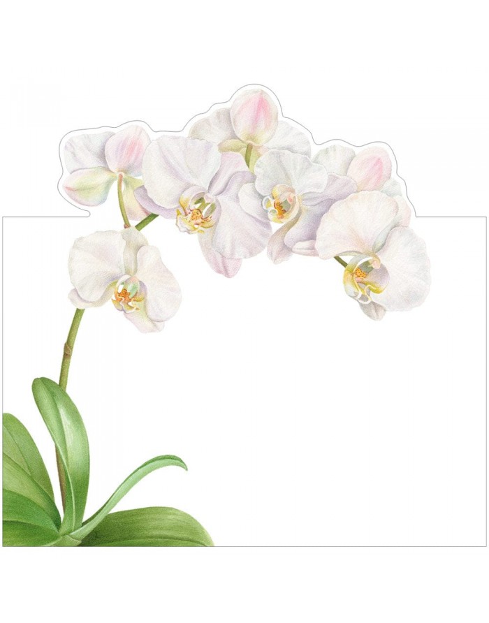 8 marcadores de mesa White Orchid