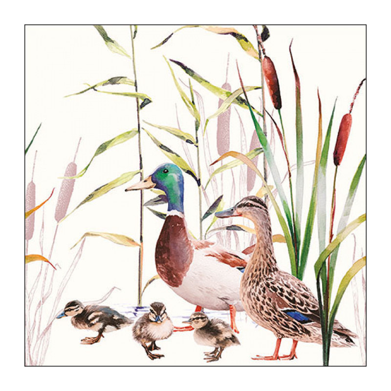 20 servilletas de papel lunch Ducks Couple