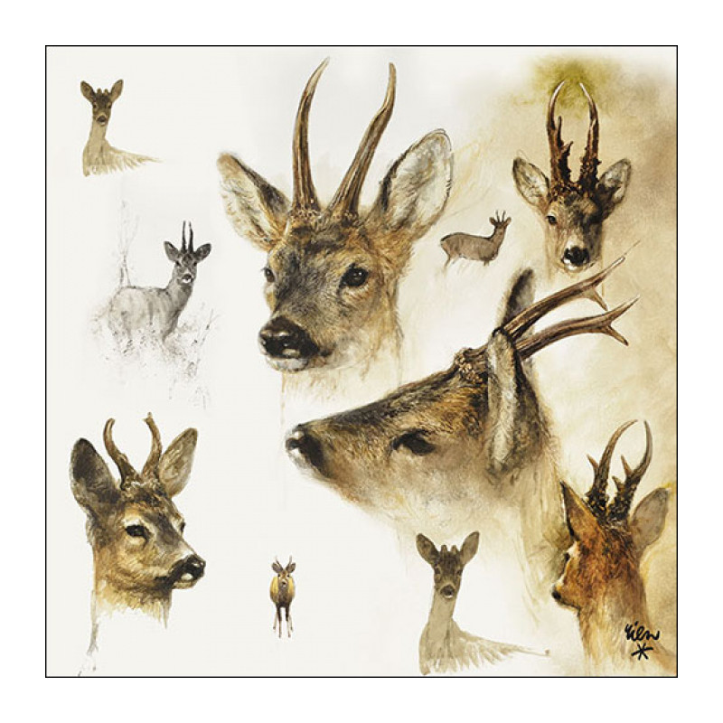 20 servilletas de papel lunch Portraits of Deer
