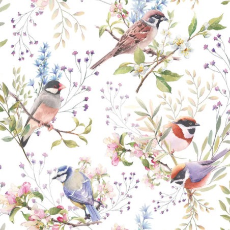 20 servilletas de papel lunch Busy birds