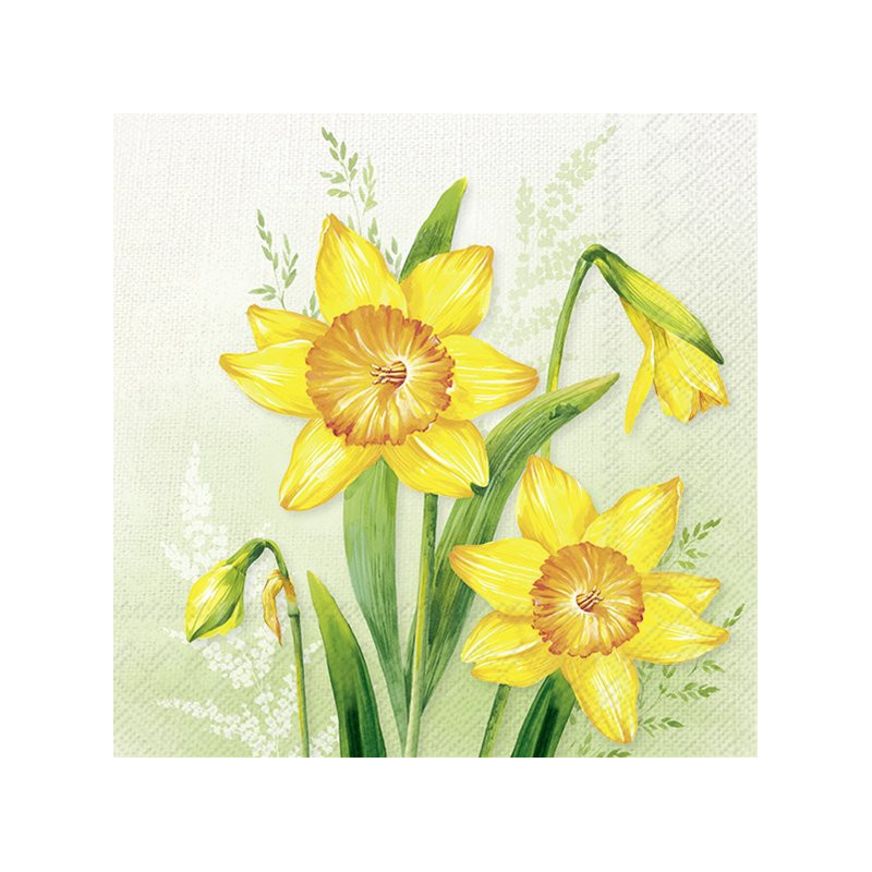 20 servilletas de papel lunch Narzissa Light Green