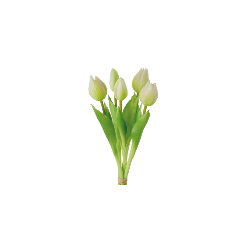 Ramo 5 tulipanes blancos 28 cm