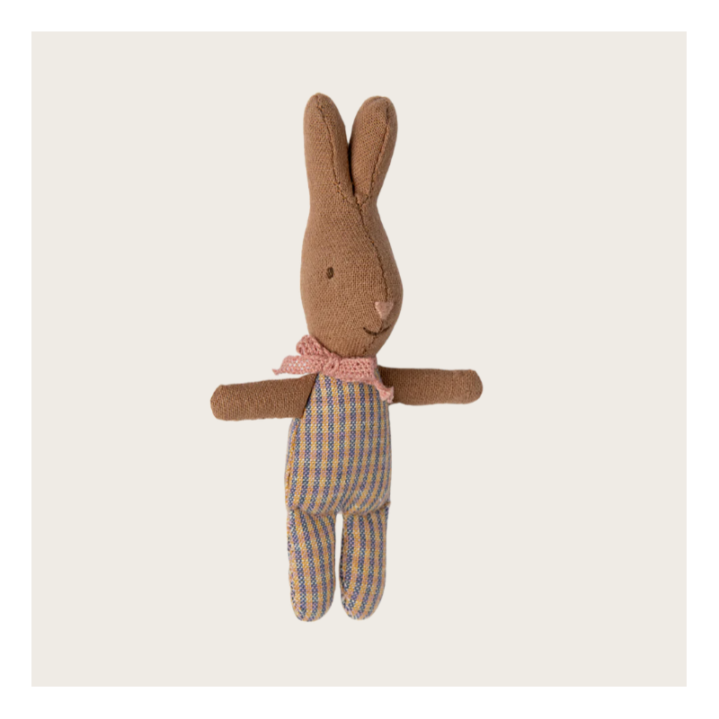 Conejo Mi Cuadro rosa azul